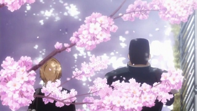 Ore Monogatari Cherry Blossom Ore Monogatari Cherry Blossom