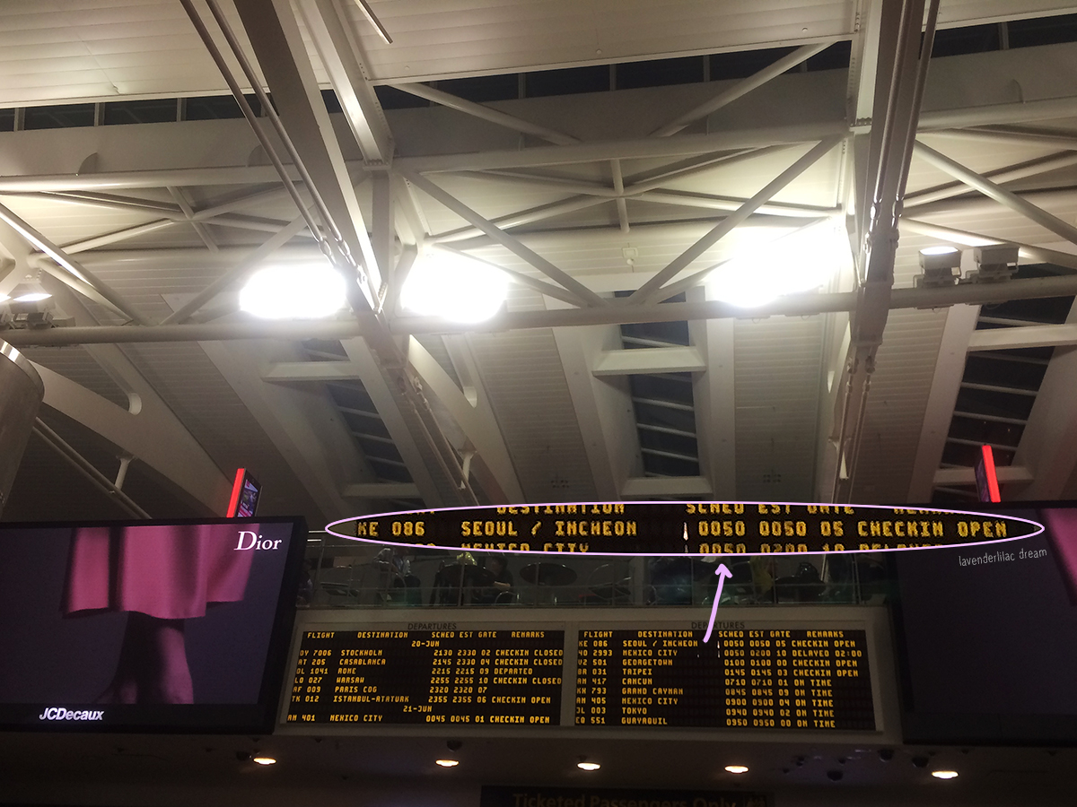 Entering JFK New York