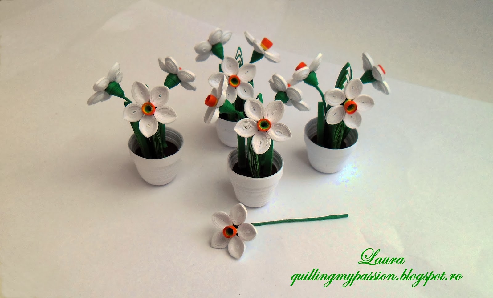 quilling my passion miniatura quilling/quilled miniature