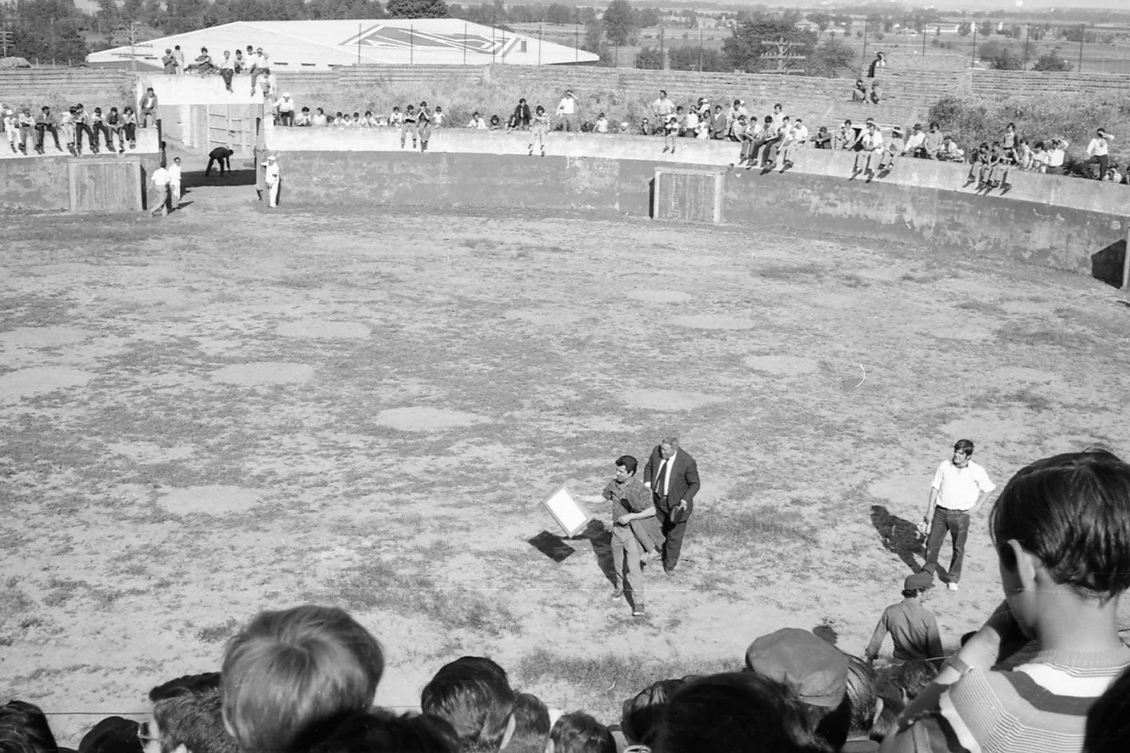 7.-120-vuelta+al+ruedo.jpg
