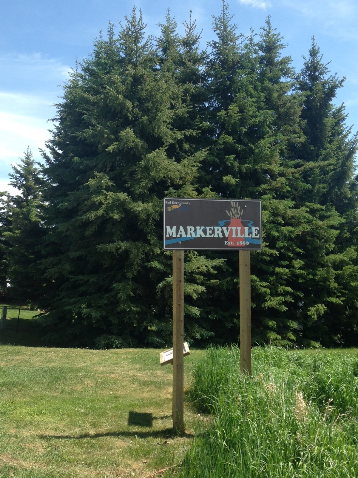 The view from here Markerville, Alberta, June 7, 2015