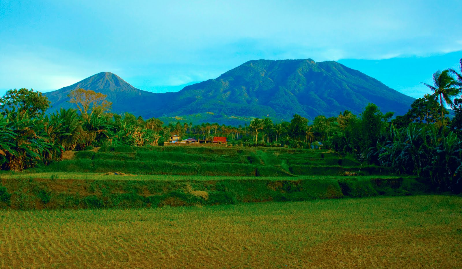 Amid COVID19 crisis, landslide, smoke seen in Mt. Banahaw Sentinel Times
