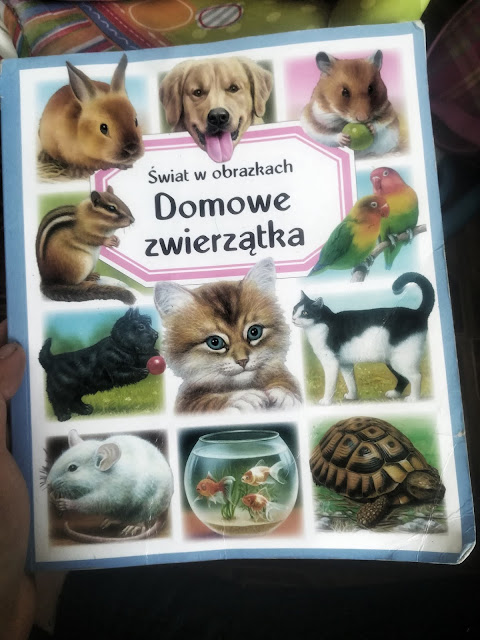 Obraz