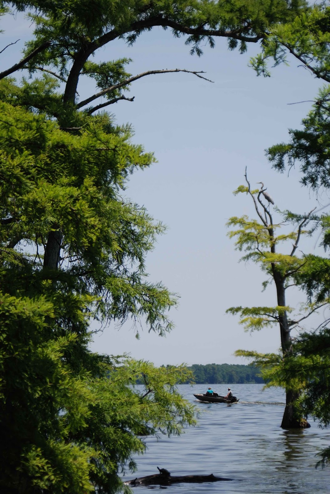 Old field Studio & Leo Lakes The Mississippi River Flowed Backwards!