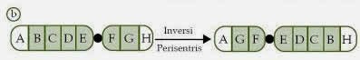 inversi perisentrik inversi perisentrik