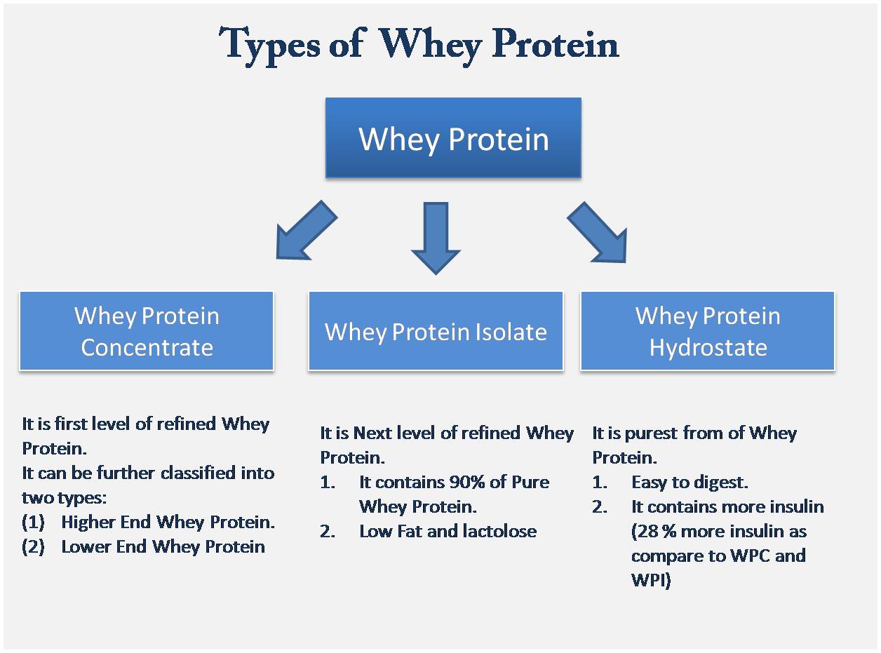fitness guide Types of Whey Protein