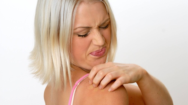 Natural Home Remedies For Gnats Natural Home Remedies For Gnats