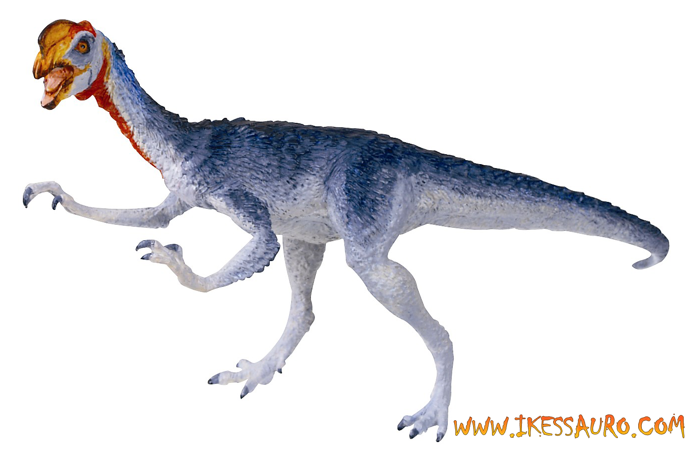 Carnegie Raptor Coleção Carnegie - Dinossauros do Museu Carnegie de História Natural de ...