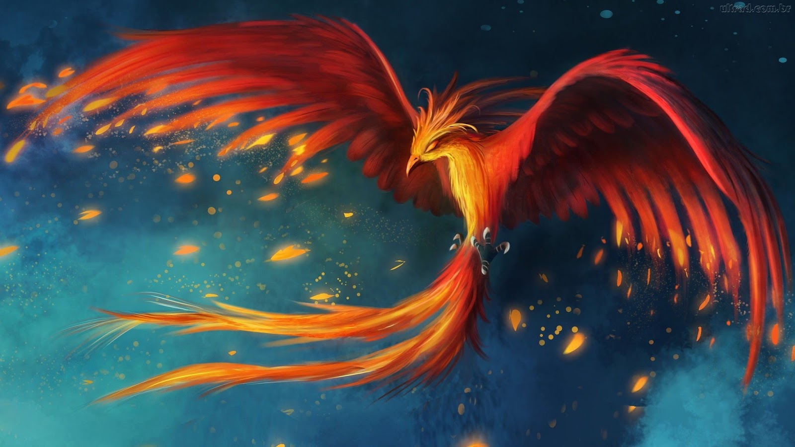 fenix 2 size