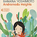 Recensione: "ANDROMEDA HEIGHTS" e "IL DOLORE, LE OMBRE, LA MAGIA" di Banana Yoshimoto.