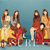 Netizens ficam com nojo do dormitório do Lovelyz