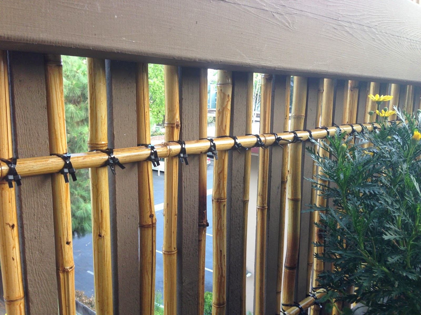 Balcony Container Garden Bamboo Privacy Screen/Trellis