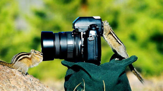 Funny hd Wallpaper ~ HD Wallpapers, High Quality Wallpapers For Your