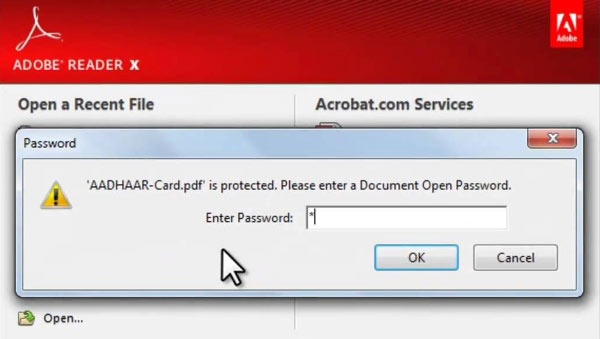 how to open password protected pdf document