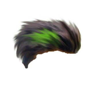 hair png 