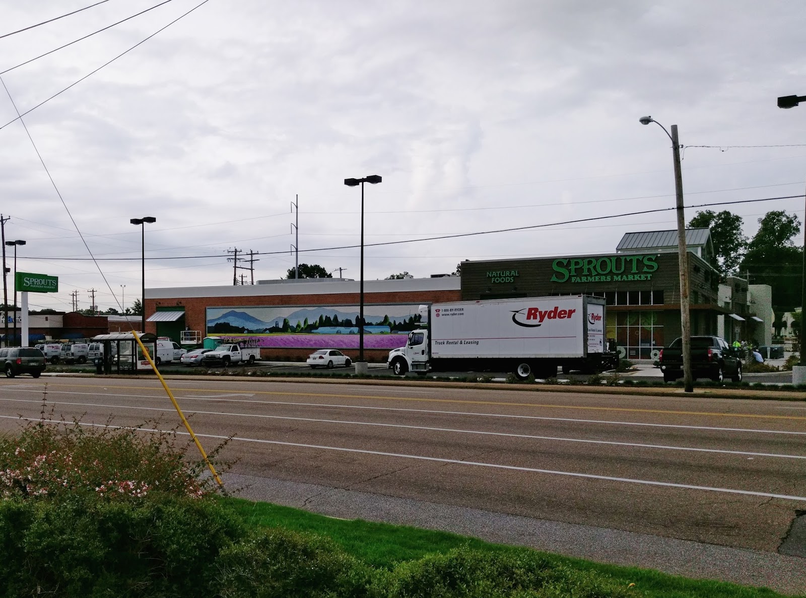 The MidSouth Retail Blog Final PreOpening East Memphis Sprouts Photos