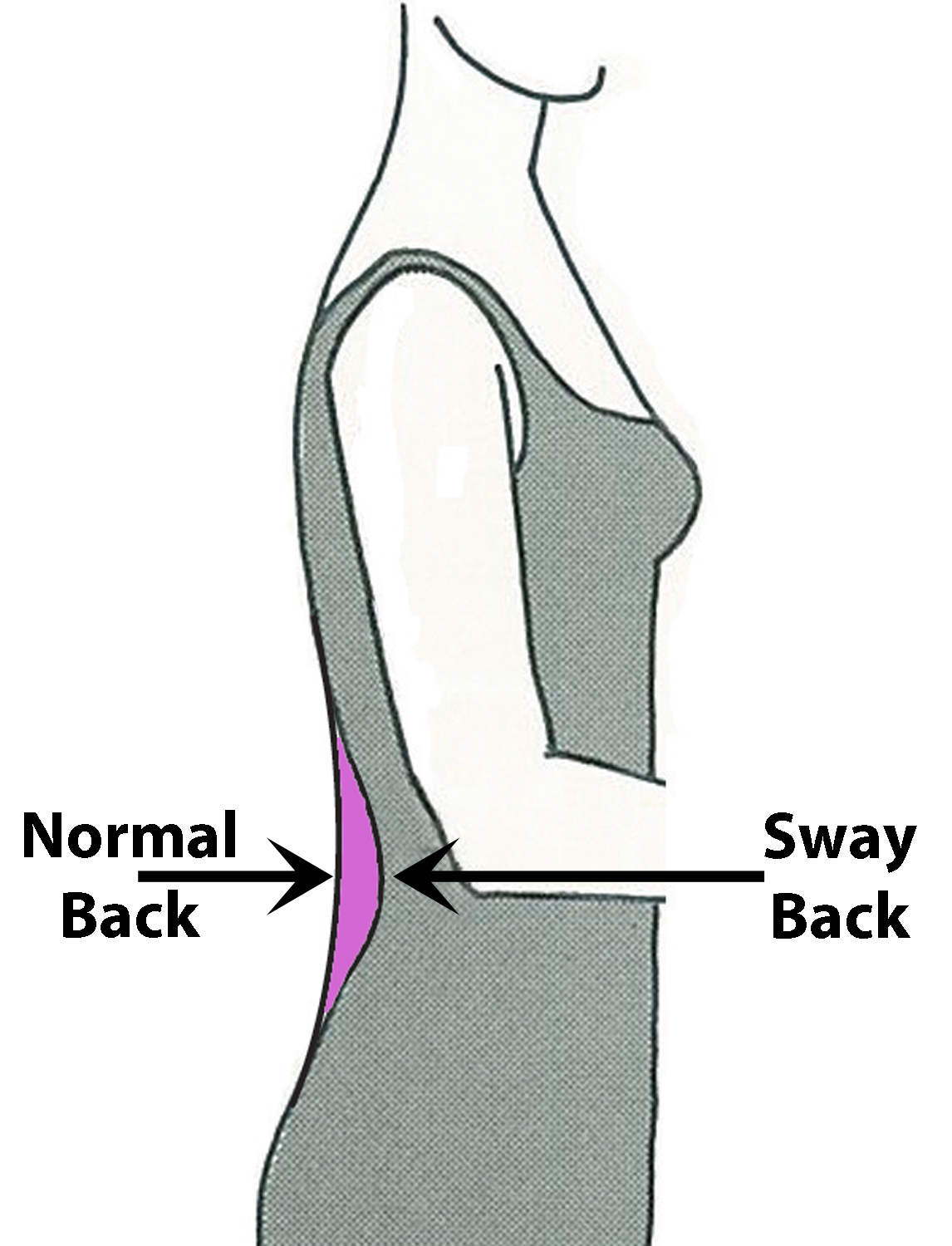 SureFit Designs™ Blog Sway Back Identification & Refinements for the