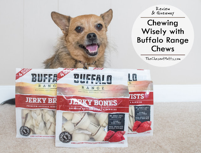 Review & Giveaway: Chewing Wisely with Buffalo Range Chews