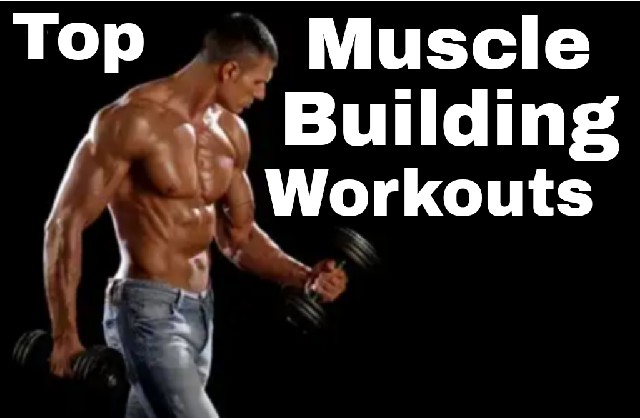 Muscle Building Workouts Muscle Building Workouts