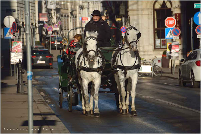 Horse drawn carriage Austria Vienna