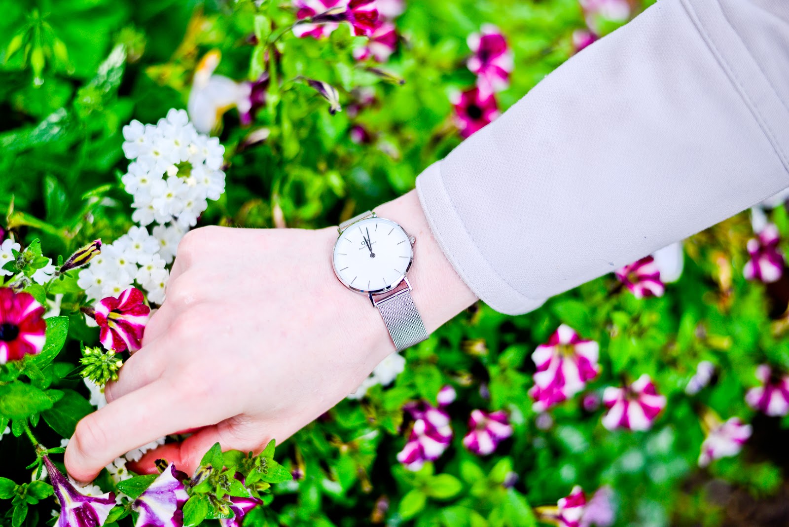 daniel wellington watch, claydon house, national trust properties, daniel wellington discount code, modern silver watch,