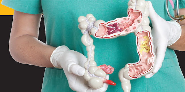 8 Manfaat Jus Kurma Bagi Kesehatan