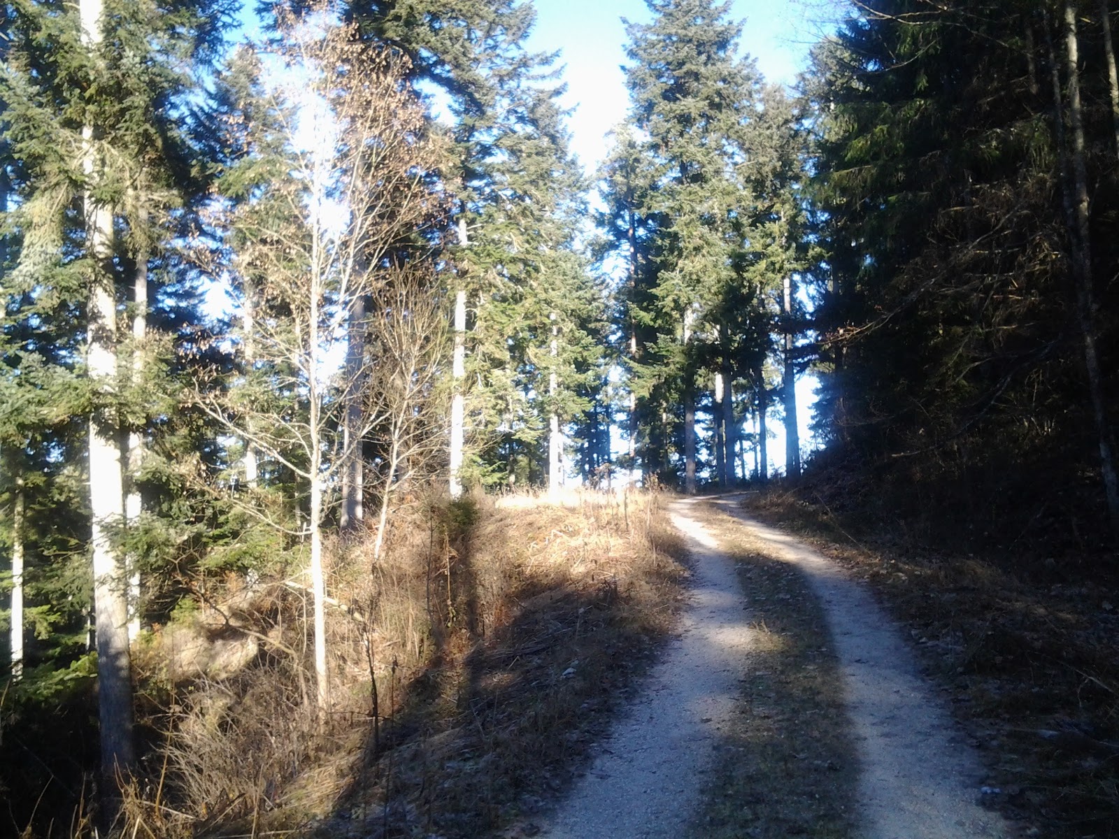WUTACHSCHLUCHT TRAUMHAFTES NOVEMBER WANDER WETTER & BEDINGUNGEN IN