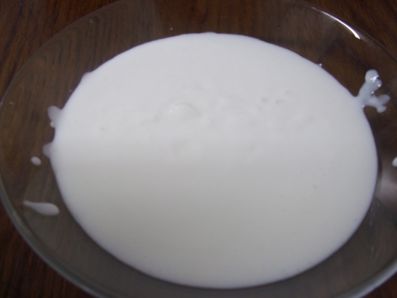Homemade Kefir Recipe- Probiotic Yogurt Alternative | Penniless Parenting