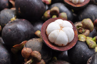 Kandungan Buah Manggis Kandungan Buah Manggis