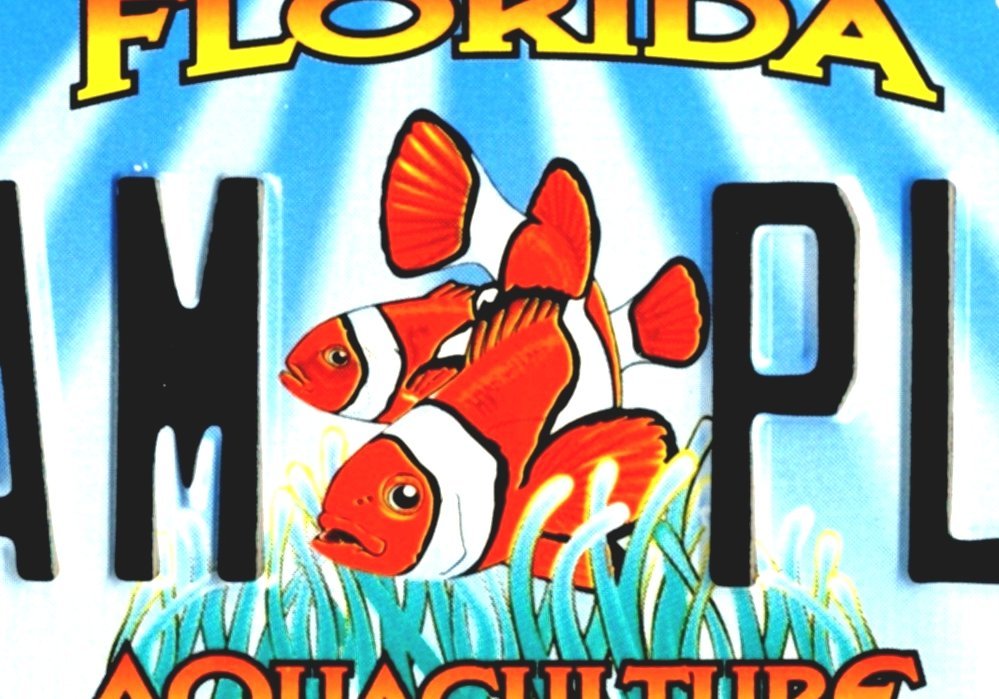 Vehicle Registration Plates Of Florida License Plate Renewal Florida