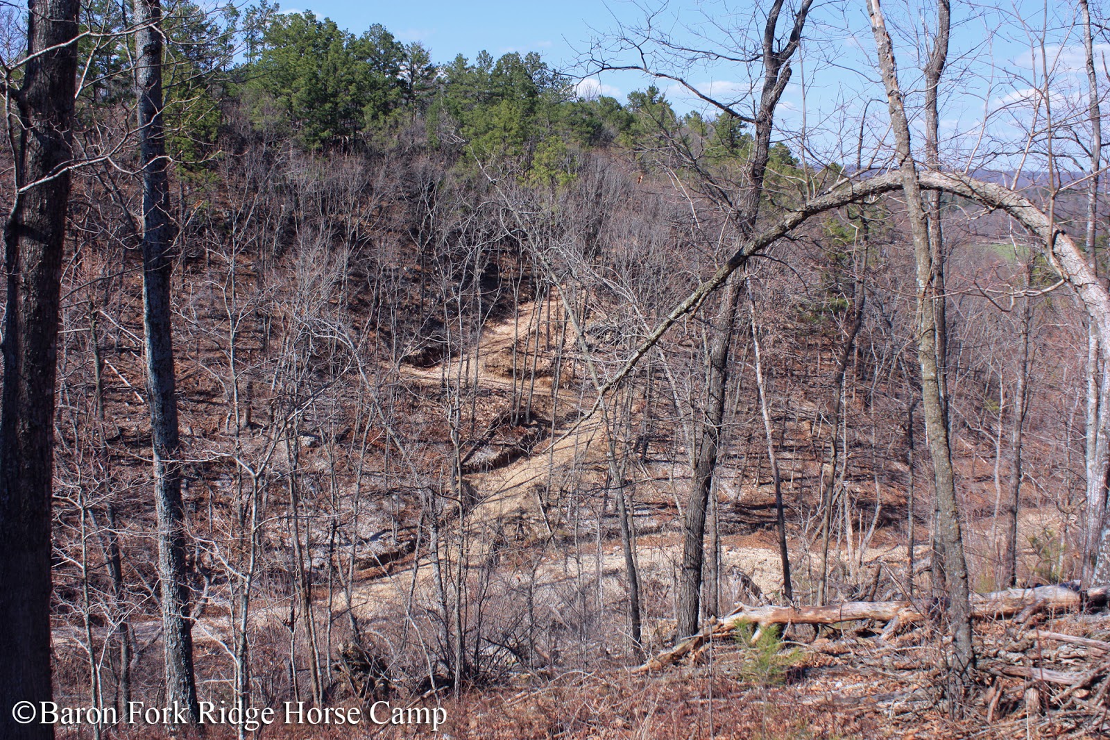 Baron Fork Ridge Horse Camp