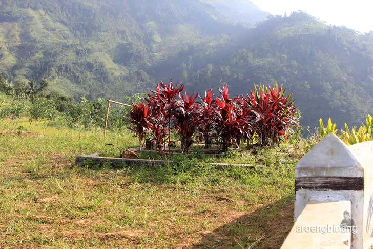 makam syekh maja suta petungkriyono pekalongan
