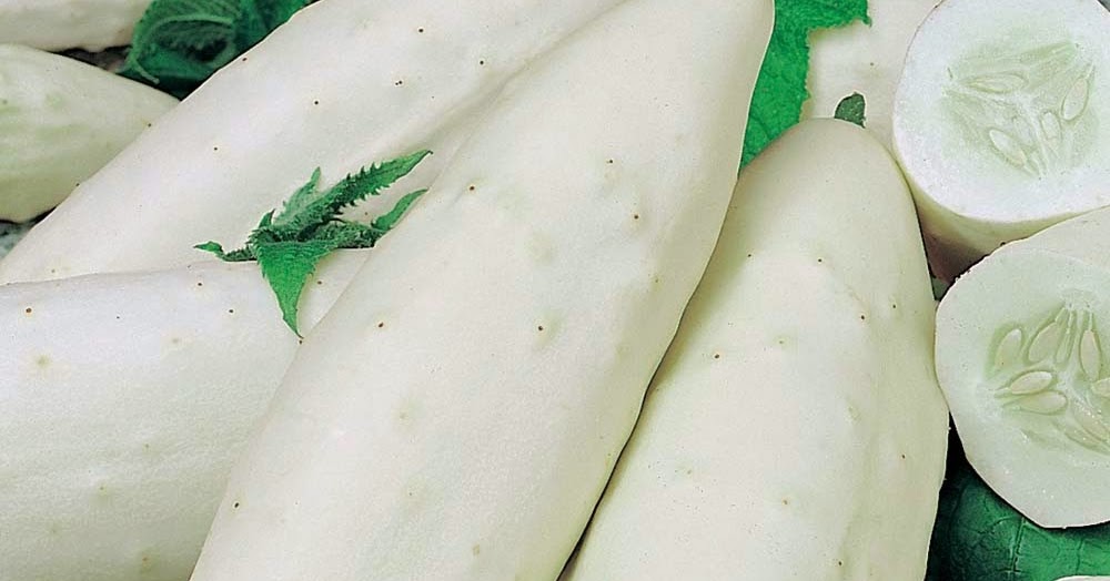 Деликатесы на белом. Белые огурцы. Белый деликатес. Белый деликатес. Белый пудинг колбаска.