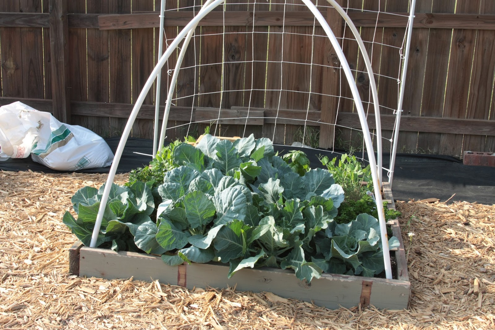 My Square Foot Garden Journal Growing Vertically How to Build a