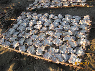 Dry Rupchanda Fish