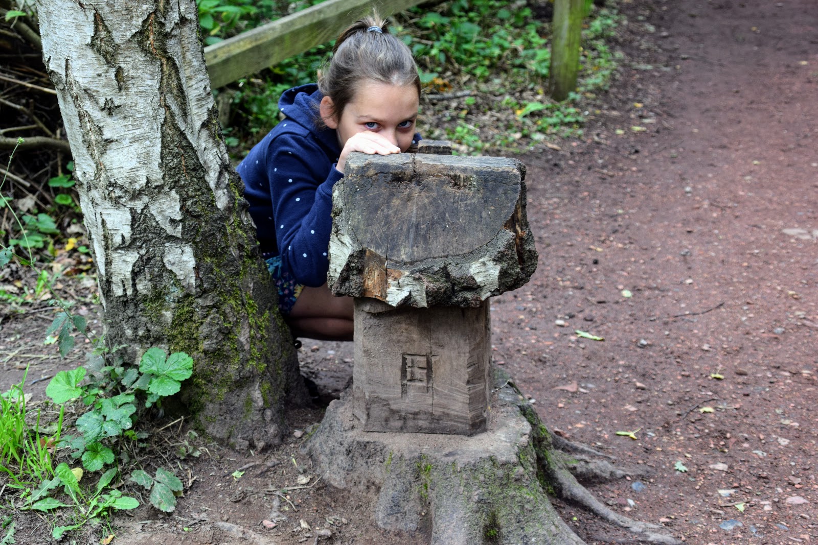 , Visiting Sherwood Forest Country Park &#038; Visitor Centre