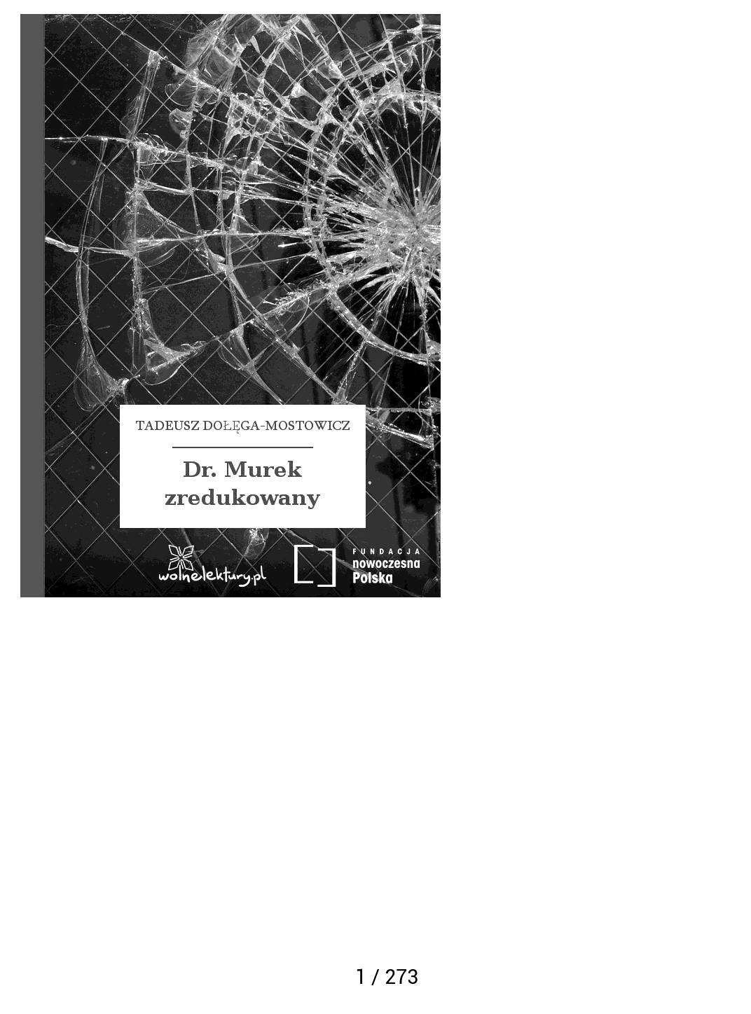 przykład okładki niedostosowującej się do wysokiej rozdzielczości ekranu PocketBook Touch HD 2. Zdjęcie wyrówanane jest do lewego górnego rogu