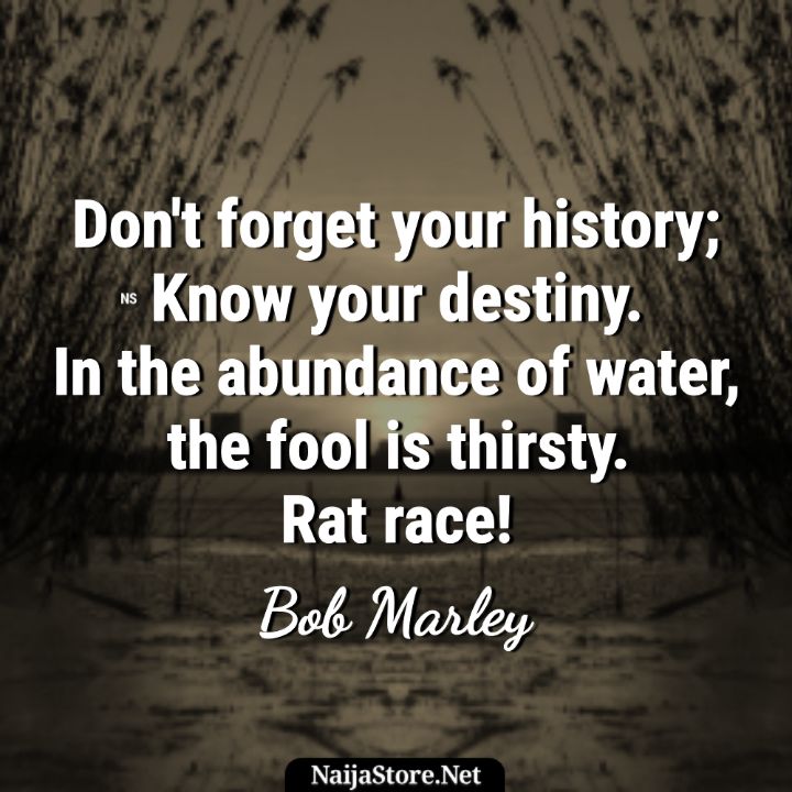 Bob Marley's Quotes: Don't forget your history; Know your destiny. In the abundance of water, the fool is thirsty. Rat race! - Proverbial Words