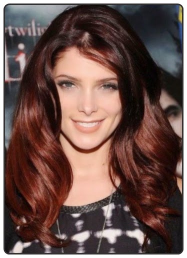 Best Brown Hair Color Ideas 2014-10 Best Brown Hair Color Ideas 2014 10