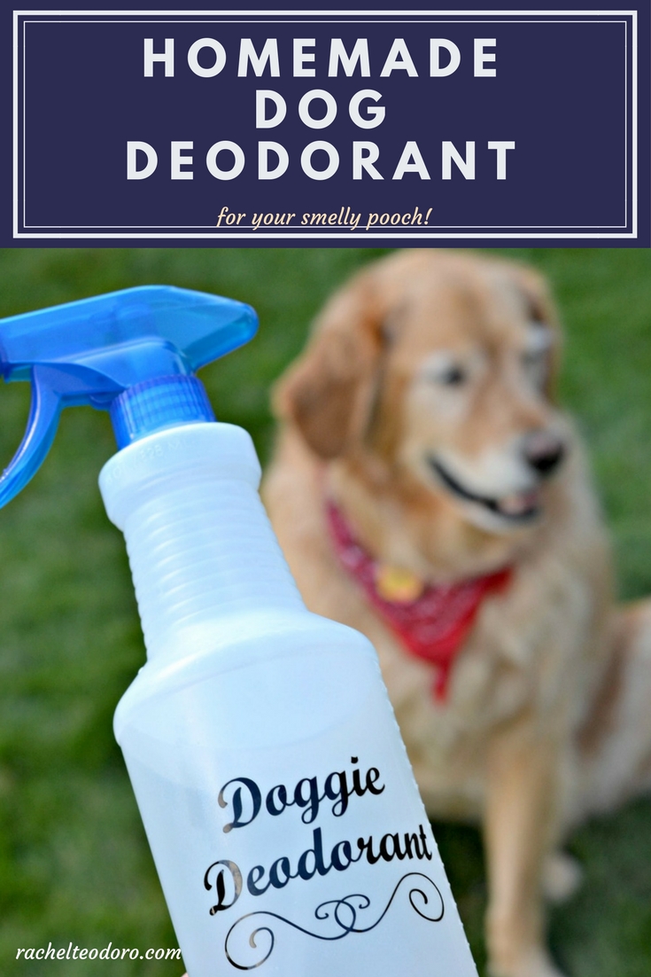 what is a natural dog repellent