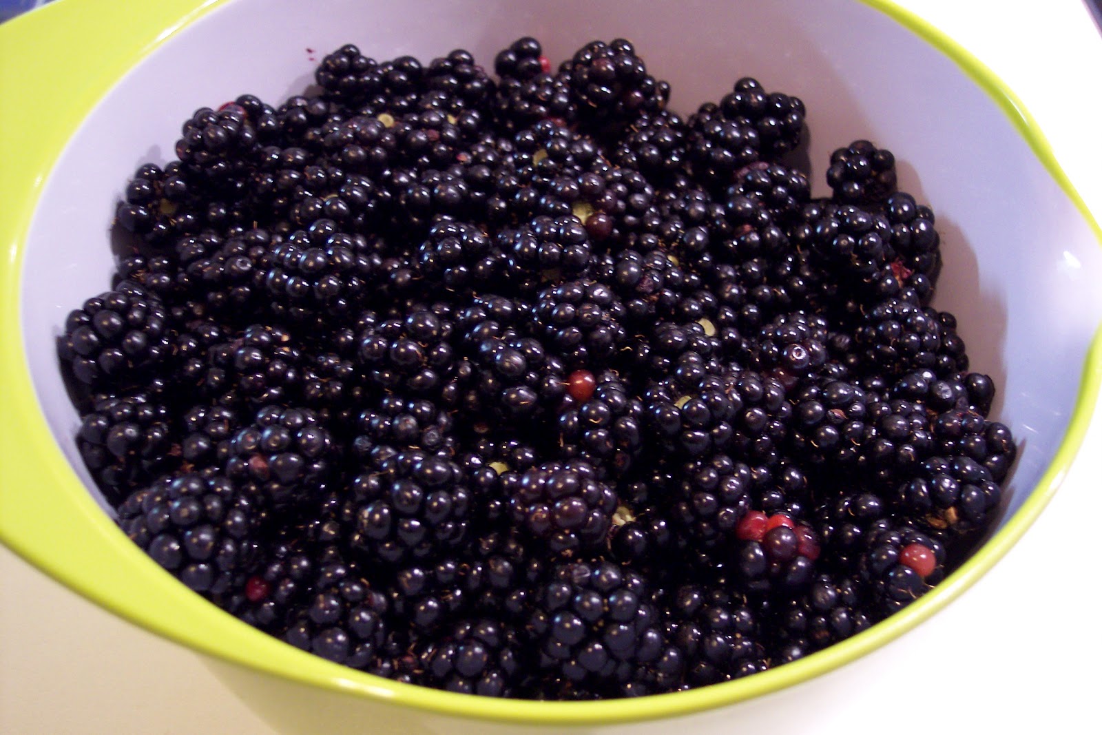 Kuharija Veganske iniciative: Sirup iz robid