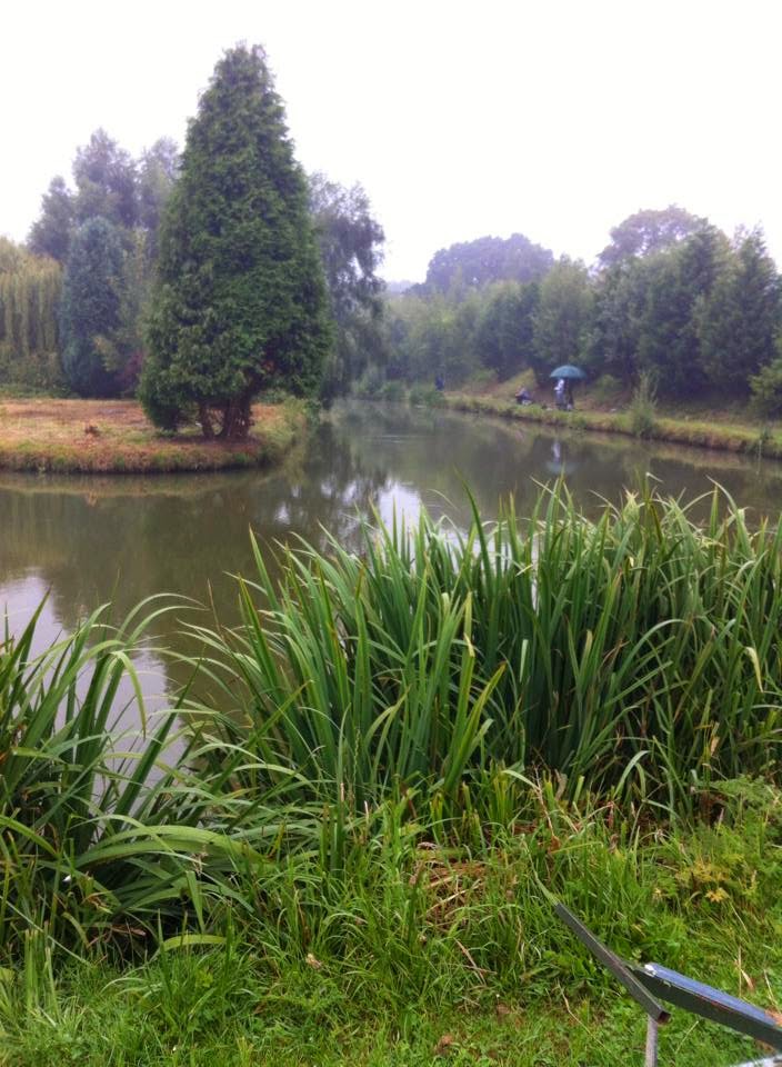 UK fishing venues Pool Bridge Farm (Horseshoe Lake) Venue Review