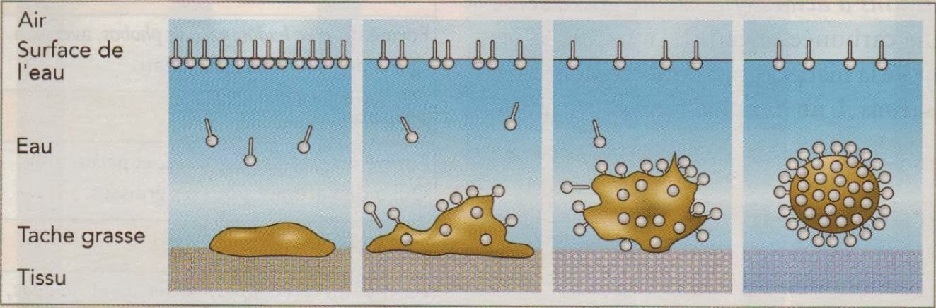 Biouty-mix: Co wash:se laver les cheveux avec de l’après-shampooing une ...