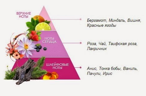 Роза Мандарин Фото И Описание – Telegraph