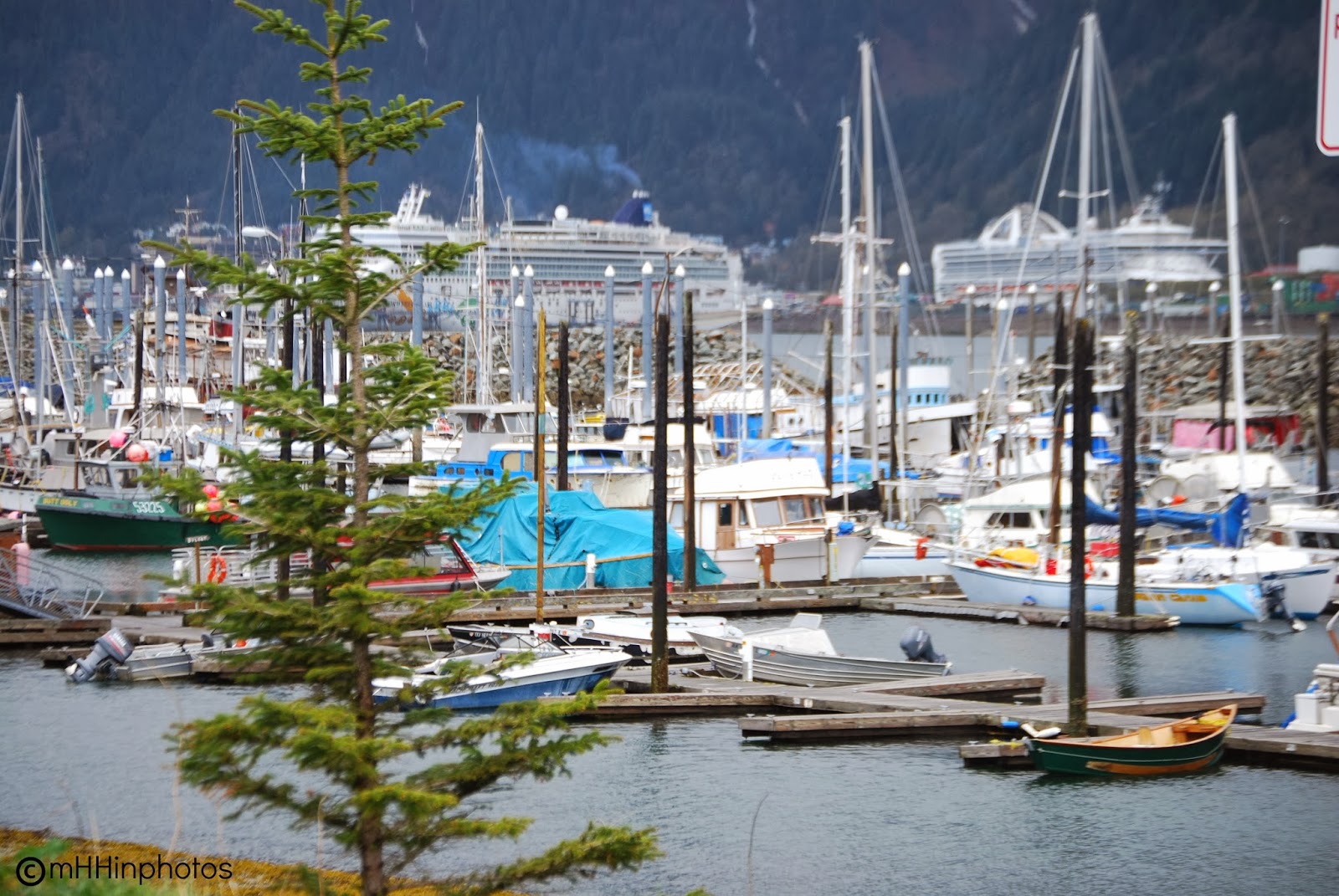 my Heritage Happens in Photos Juneau, Alaska Views Around Water