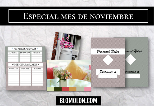 especial mes de noviembre especial mes de noviembre
