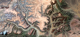 homage to Lord of the Rings, Enchanted Forest trees in stone fleeing men, abstract landscapes of deserts of Africa from the air, Naturalism Abstract collection: from Munimara homage to Lord of the Rings, Enchanted Forest trees in stone fleeing men, abstract landscapes of deserts of Africa from the air,