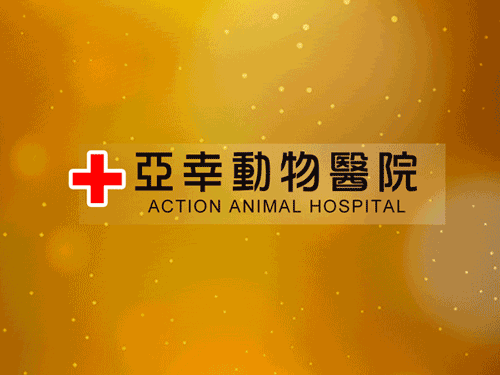 周明賢醫師不僅是南台灣第一位取得CVA認證的獸醫師,更是全台灣唯一一位具有爬蟲類特殊寵物醫療領域專業且同時取得CVA認證的獸醫師。