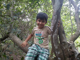 Ishaan on cashew tree Ishaan on cashew tree