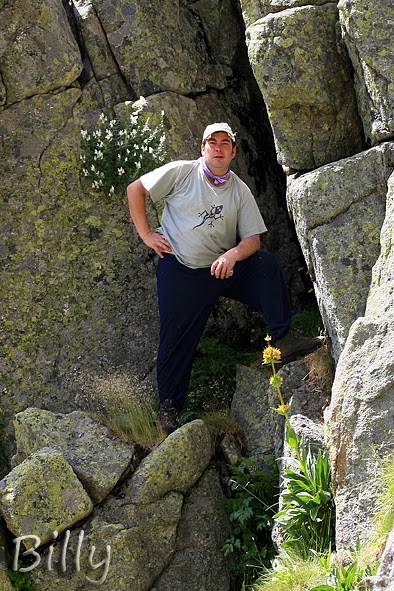 Alter Geo: PLANTAS DE MONTAÑA EN TORNAVACAS Y SUS ESTRIBACIONES